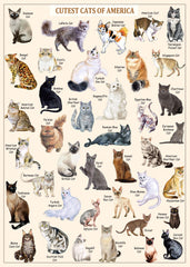 Pickforu® Cutest Cats Jigsaw Puzzle 1000 Pieces