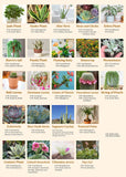 Pickforu® Vintage Succulent Jigsaw Puzzle 1000 Pieces