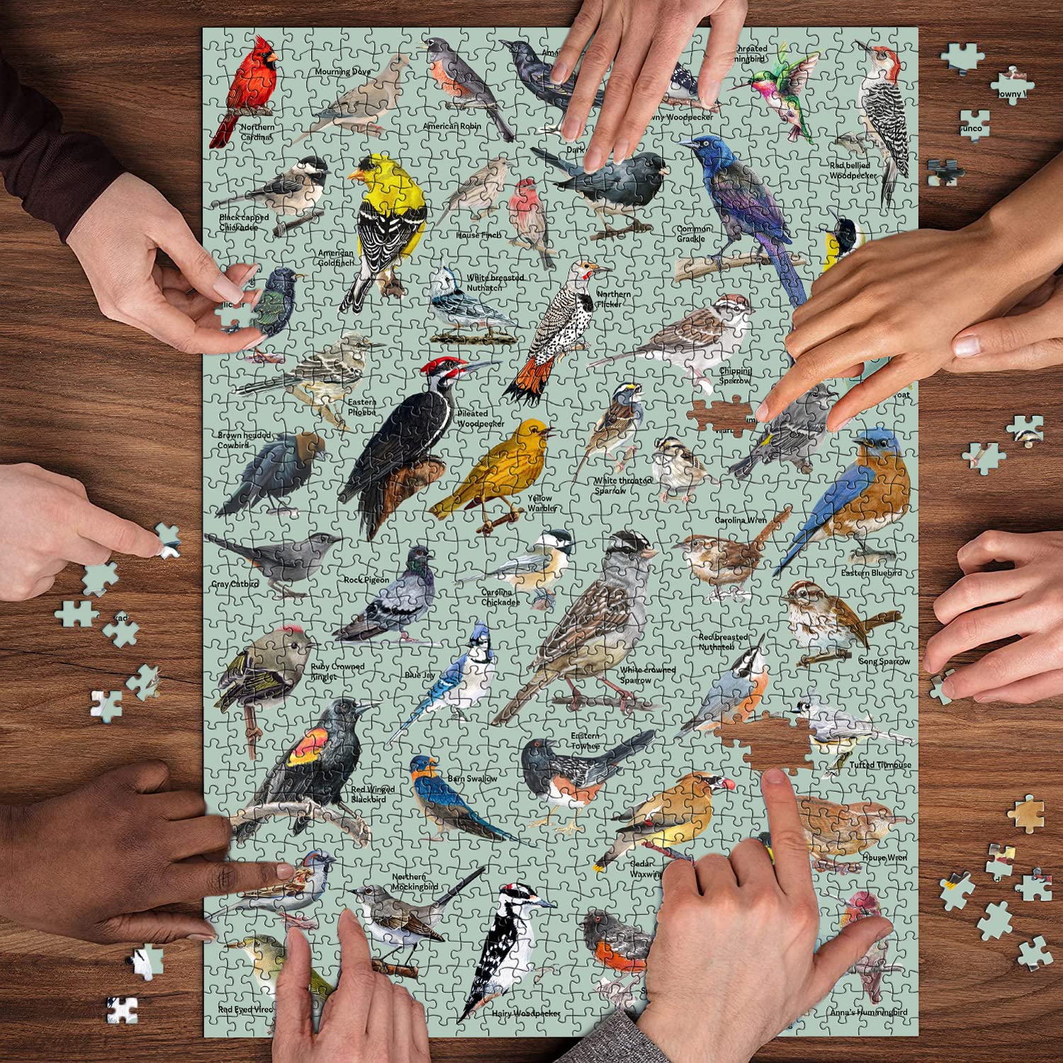 Pickforu® Puzzle Oiseaux de jardin 1000 pièces