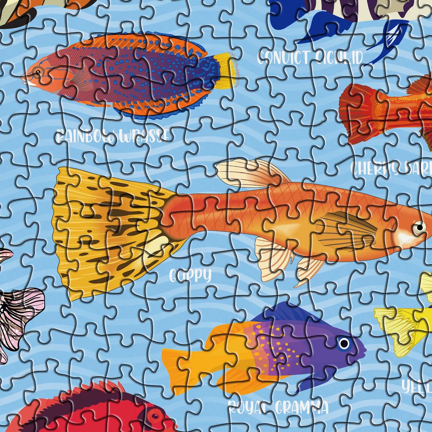 Pickforu® Ocean Fish Jigsaw Puzzles 1000 Pieces