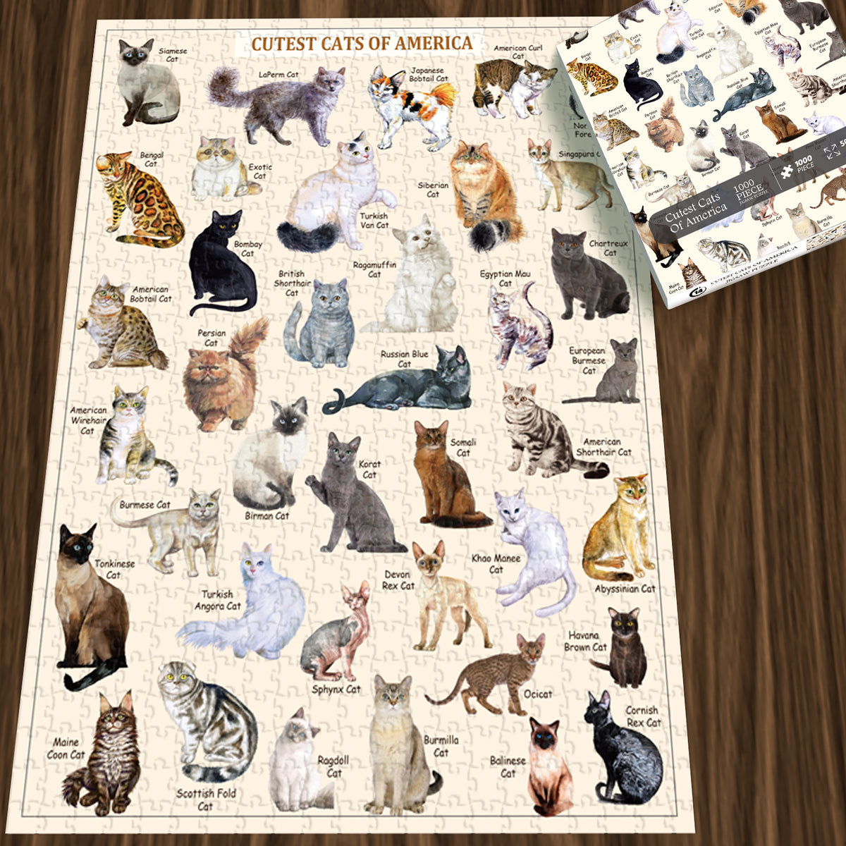Pickforu® Puzzle de Los Gatos más Lindos 1000 Piezas